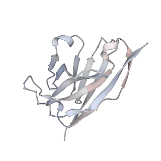 23520_7luc_D_v1-1
Cryo-EM structure of RSV preF bound by Fabs 32.4K and 01.4B