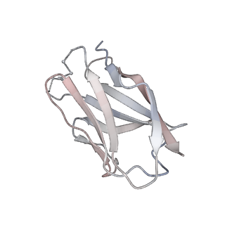 23520_7luc_E_v1-1
Cryo-EM structure of RSV preF bound by Fabs 32.4K and 01.4B