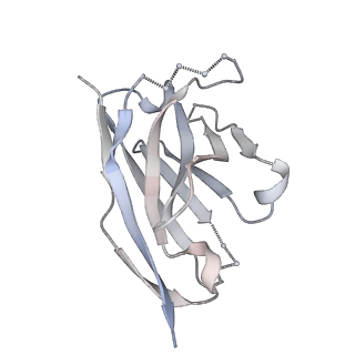 23520_7luc_F_v1-1
Cryo-EM structure of RSV preF bound by Fabs 32.4K and 01.4B