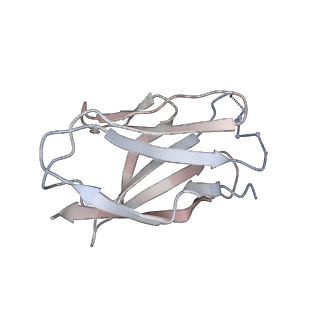 23520_7luc_G_v1-1
Cryo-EM structure of RSV preF bound by Fabs 32.4K and 01.4B