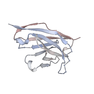 23520_7luc_H_v1-1
Cryo-EM structure of RSV preF bound by Fabs 32.4K and 01.4B