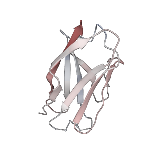 23520_7luc_I_v1-1
Cryo-EM structure of RSV preF bound by Fabs 32.4K and 01.4B