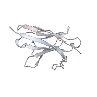 23520_7luc_J_v1-1
Cryo-EM structure of RSV preF bound by Fabs 32.4K and 01.4B