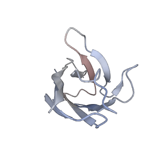 23520_7luc_K_v1-1
Cryo-EM structure of RSV preF bound by Fabs 32.4K and 01.4B