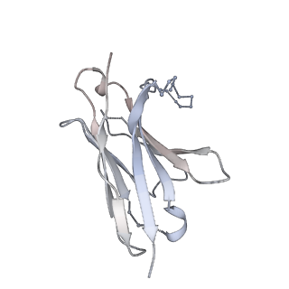 23520_7luc_N_v1-1
Cryo-EM structure of RSV preF bound by Fabs 32.4K and 01.4B