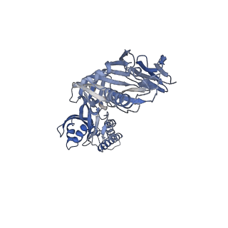 23521_7lue_A_v1-0
Prefusion RSV F glycoprotein bound by neutralizing site V-directed antibody ADI-14442