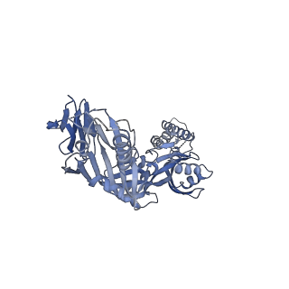 23521_7lue_B_v1-0
Prefusion RSV F glycoprotein bound by neutralizing site V-directed antibody ADI-14442