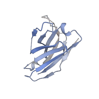 23521_7lue_I_v1-0
Prefusion RSV F glycoprotein bound by neutralizing site V-directed antibody ADI-14442