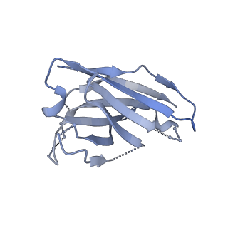 23521_7lue_J_v1-0
Prefusion RSV F glycoprotein bound by neutralizing site V-directed antibody ADI-14442