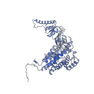 23522_7lum_B_v1-2
Human TRiC in ATP/AlFx closed state