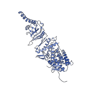 23522_7lum_D_v1-2
Human TRiC in ATP/AlFx closed state