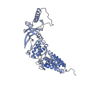 23522_7lum_E_v1-2
Human TRiC in ATP/AlFx closed state