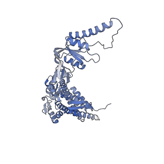 23522_7lum_F_v1-2
Human TRiC in ATP/AlFx closed state