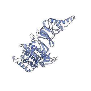 23522_7lum_G_v1-2
Human TRiC in ATP/AlFx closed state