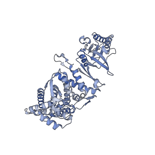 23522_7lum_H_v1-2
Human TRiC in ATP/AlFx closed state