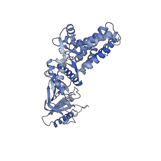 23522_7lum_I_v1-2
Human TRiC in ATP/AlFx closed state