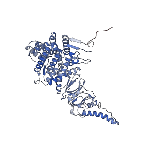 23522_7lum_K_v1-2
Human TRiC in ATP/AlFx closed state