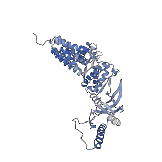 23522_7lum_M_v1-2
Human TRiC in ATP/AlFx closed state