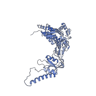 23522_7lum_N_v1-2
Human TRiC in ATP/AlFx closed state