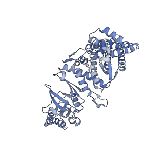 23522_7lum_P_v1-2
Human TRiC in ATP/AlFx closed state