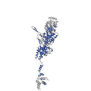 23527_7luv_C_v1-0
Cryo-EM structure of the yeast THO-Sub2 complex