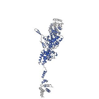 23527_7luv_C_v1-1
Cryo-EM structure of the yeast THO-Sub2 complex