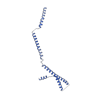 23527_7luv_D_v1-0
Cryo-EM structure of the yeast THO-Sub2 complex