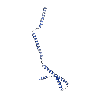 23527_7luv_D_v1-1
Cryo-EM structure of the yeast THO-Sub2 complex