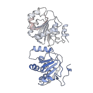 23527_7luv_M_v1-0
Cryo-EM structure of the yeast THO-Sub2 complex