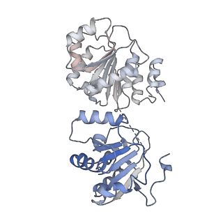 23527_7luv_M_v1-1
Cryo-EM structure of the yeast THO-Sub2 complex