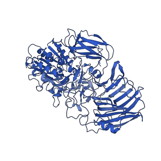 0989_6lvc_C_v1-3
Structure of Dimethylformamidase, dimer