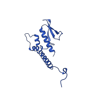 0989_6lvc_D_v1-3
Structure of Dimethylformamidase, dimer