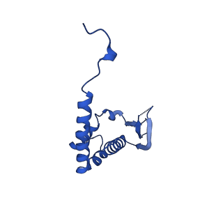 0990_6lvd_H_v1-2
Structure of Dimethylformamidase, tetramer, Y440A mutant