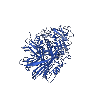 0991_6lve_A_v1-2
Structure of Dimethylformamidase, tetramer, E521A mutant