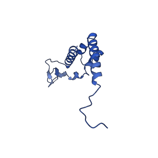 0991_6lve_B_v1-2
Structure of Dimethylformamidase, tetramer, E521A mutant