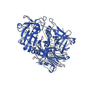 0991_6lve_C_v1-2
Structure of Dimethylformamidase, tetramer, E521A mutant