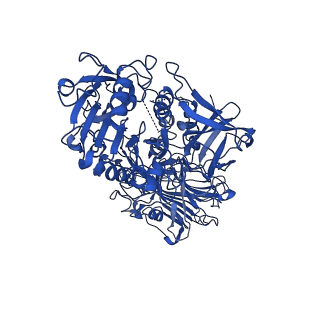 0991_6lve_C_v1-3
Structure of Dimethylformamidase, tetramer, E521A mutant