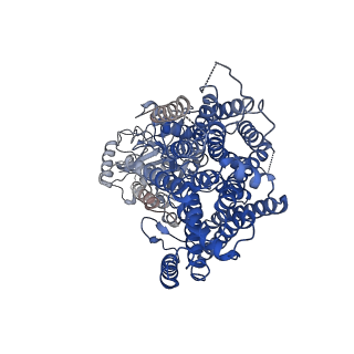 0992_6lvf_A_v1-2
Cryo-EM structure of the multiple peptide resistance factor (MprF) loaded with one lysyl-phosphatidylglycerol molecule