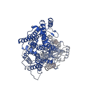 0992_6lvf_B_v1-2
Cryo-EM structure of the multiple peptide resistance factor (MprF) loaded with one lysyl-phosphatidylglycerol molecule