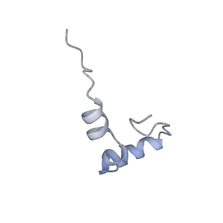 23528_7lv0_D_v1-1
Pre-translocation rotated ribosome +1-frameshifting(CCC-A) complex (Structure Irot-FS)