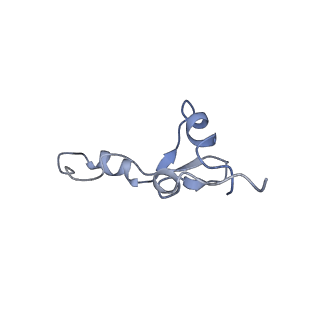 23528_7lv0_E_v1-1
Pre-translocation rotated ribosome +1-frameshifting(CCC-A) complex (Structure Irot-FS)