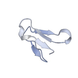 23528_7lv0_F_v1-1
Pre-translocation rotated ribosome +1-frameshifting(CCC-A) complex (Structure Irot-FS)