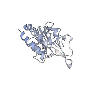 23528_7lv0_G_v1-1
Pre-translocation rotated ribosome +1-frameshifting(CCC-A) complex (Structure Irot-FS)
