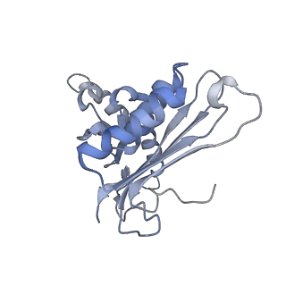 23528_7lv0_H_v1-1
Pre-translocation rotated ribosome +1-frameshifting(CCC-A) complex (Structure Irot-FS)