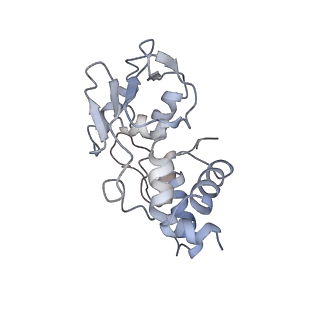 23528_7lv0_I_v1-1
Pre-translocation rotated ribosome +1-frameshifting(CCC-A) complex (Structure Irot-FS)