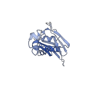 23528_7lv0_J_v1-1
Pre-translocation rotated ribosome +1-frameshifting(CCC-A) complex (Structure Irot-FS)