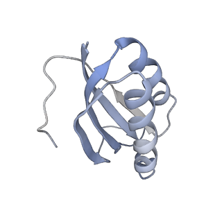 23528_7lv0_K_v1-1
Pre-translocation rotated ribosome +1-frameshifting(CCC-A) complex (Structure Irot-FS)