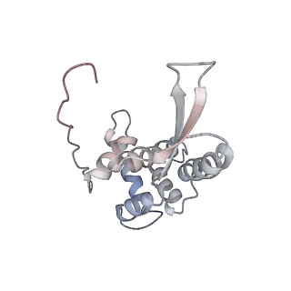 23528_7lv0_L_v1-1
Pre-translocation rotated ribosome +1-frameshifting(CCC-A) complex (Structure Irot-FS)