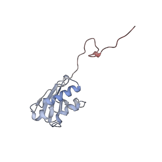 23528_7lv0_N_v1-1
Pre-translocation rotated ribosome +1-frameshifting(CCC-A) complex (Structure Irot-FS)