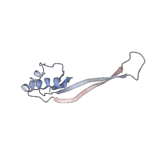 23528_7lv0_O_v1-1
Pre-translocation rotated ribosome +1-frameshifting(CCC-A) complex (Structure Irot-FS)